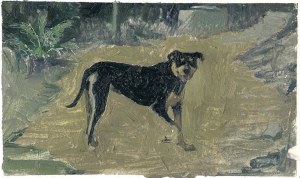 10479726_10152619655316762_8736289876736151416_n